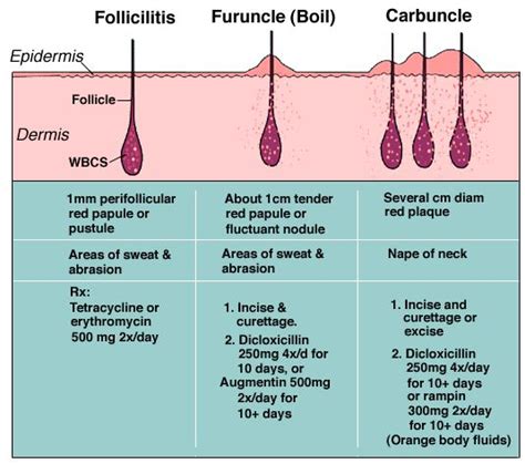 Use antimicrobial shampoo. . Folliculitis healing stages